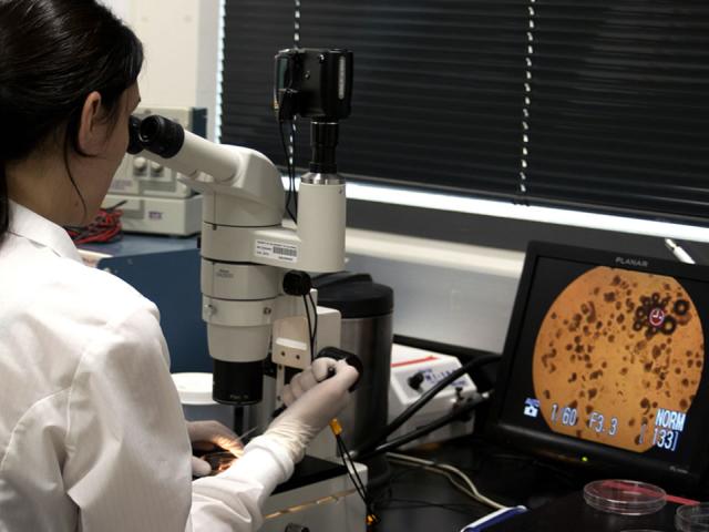 Animal Biology Lab
